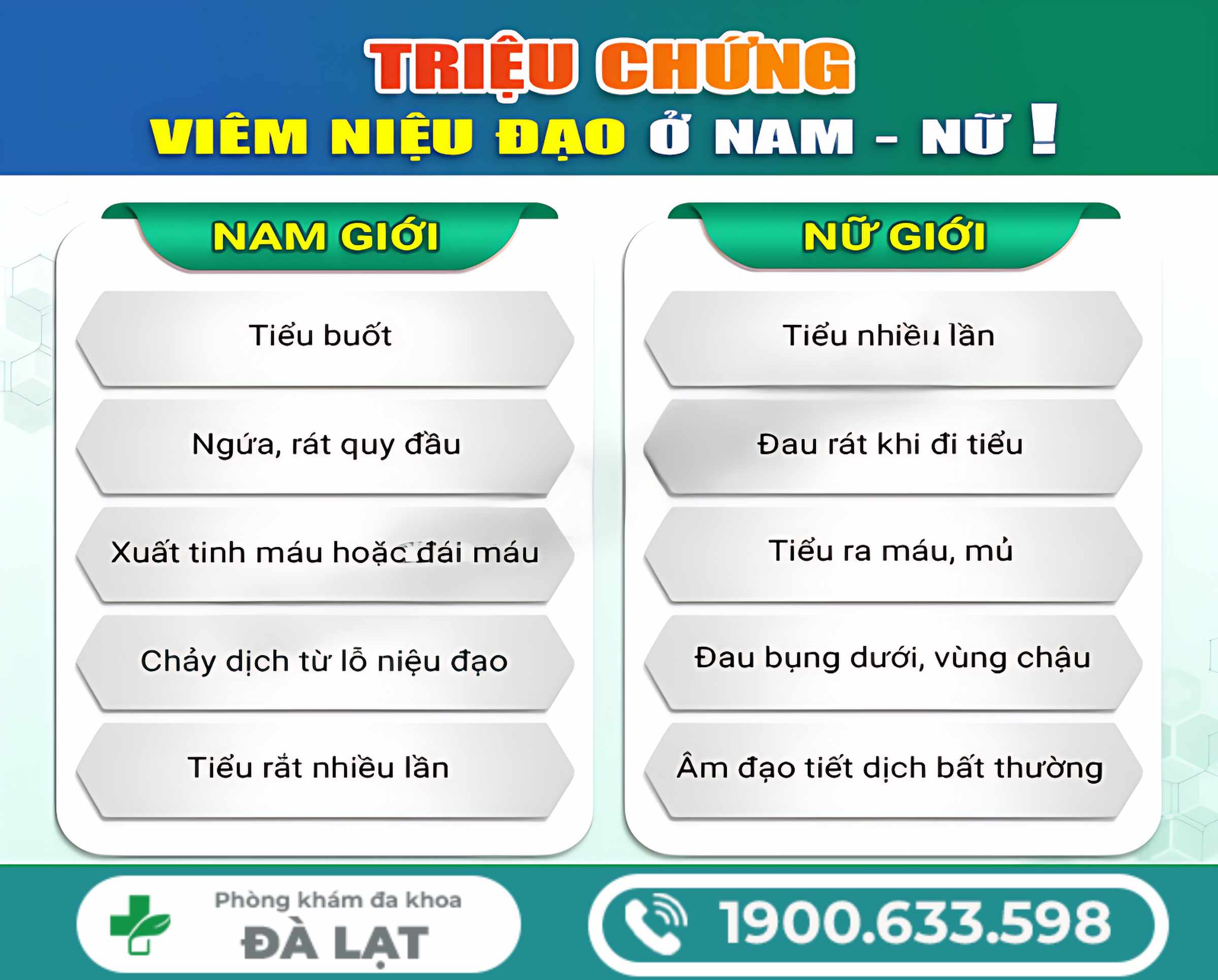 Hình ảnh minh họa